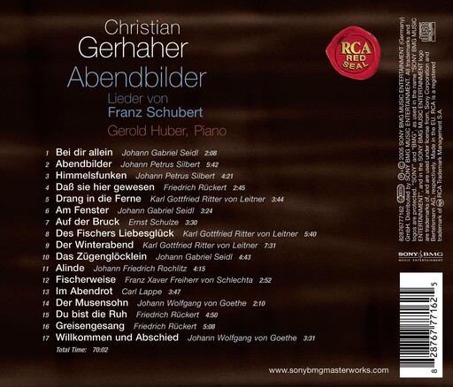 大鸡巴插入骚逼
